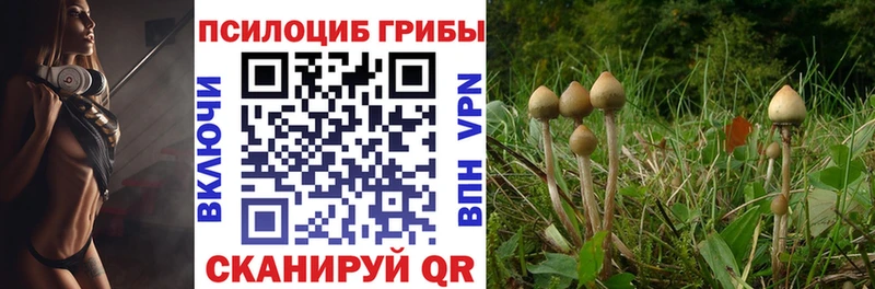Купить  Кола  Галлюциногенные грибы мухоморы 